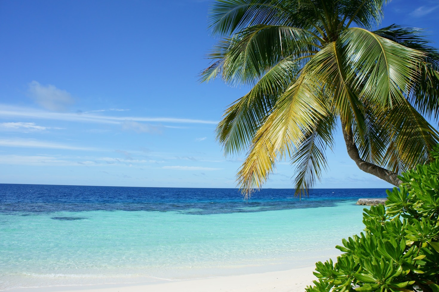 Planning Your Ideal Florida Beach Vacation
