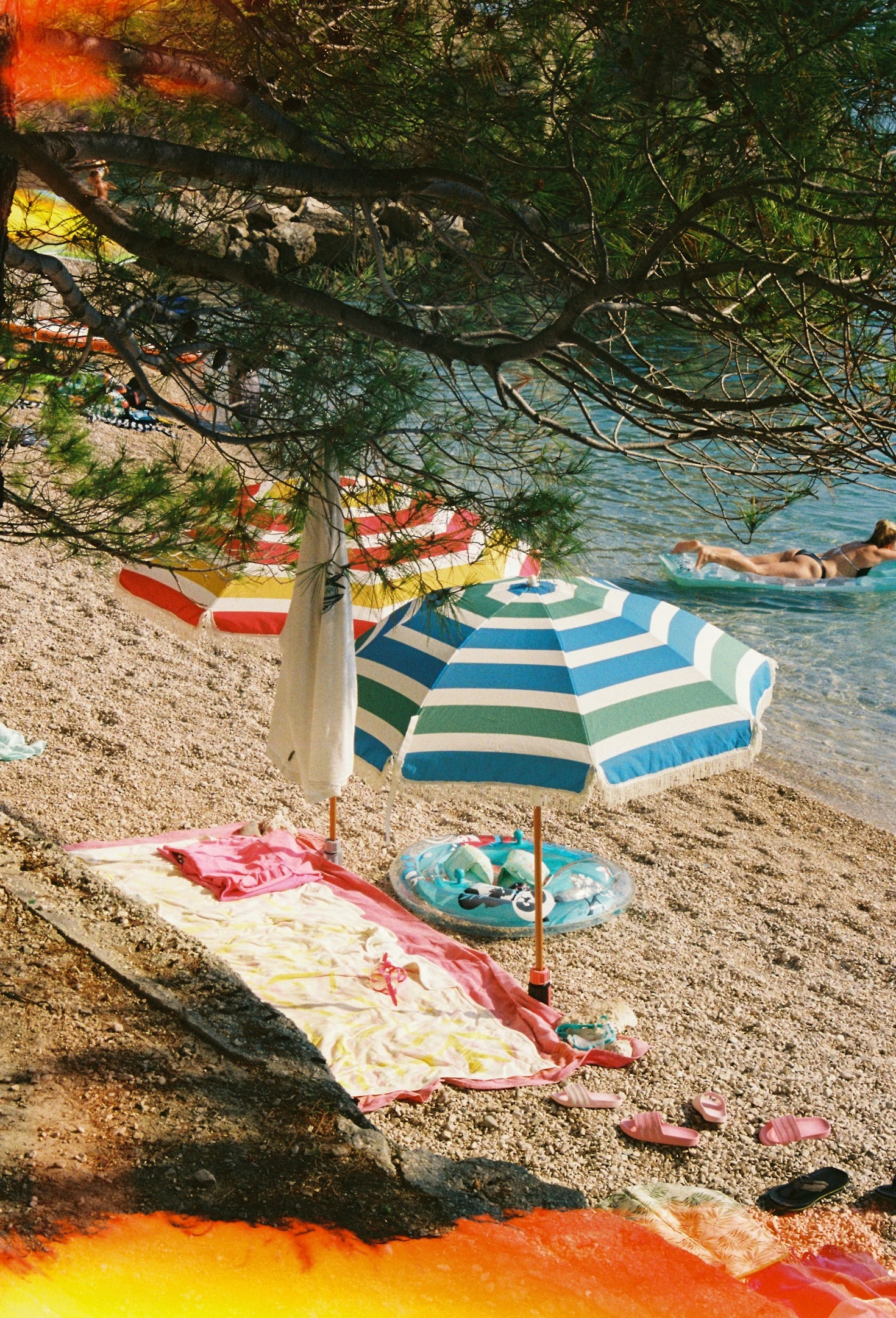 Top Local Events You Cannot Miss